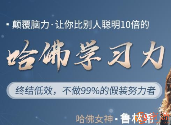 魯林希哈佛學習力