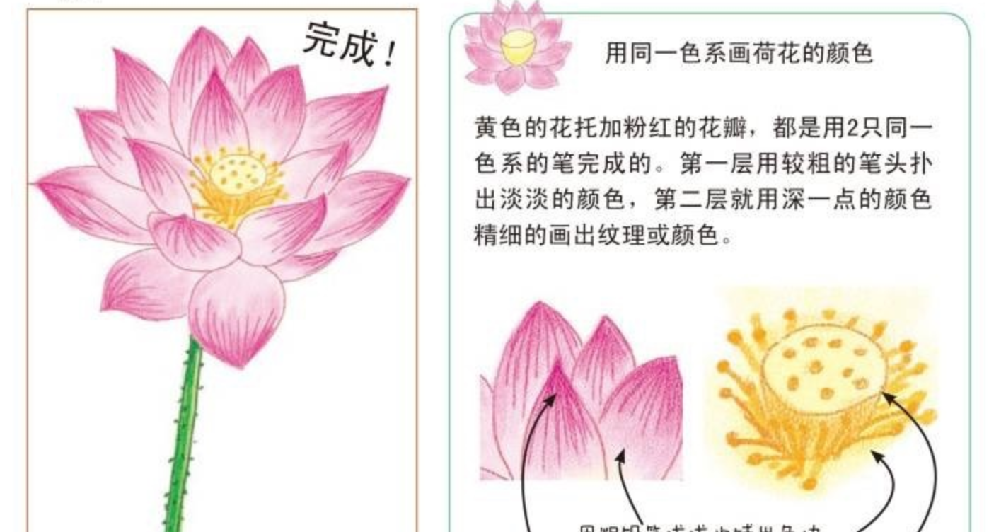 彩鉛繪畫技巧圖文教程