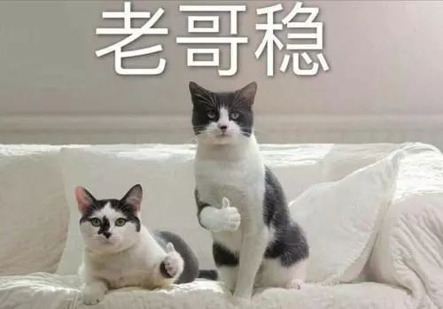 高效學習神器：千呼萬喚的Anki教程！