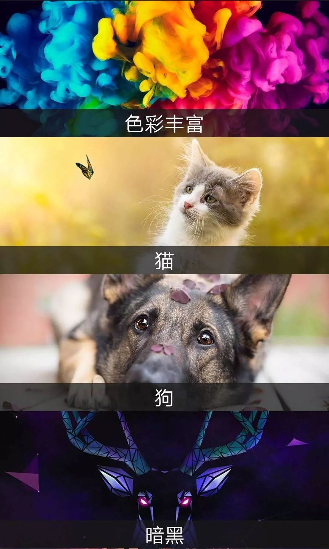 這個App竟然解鎖了18+VIP，請低調使用！插圖4
