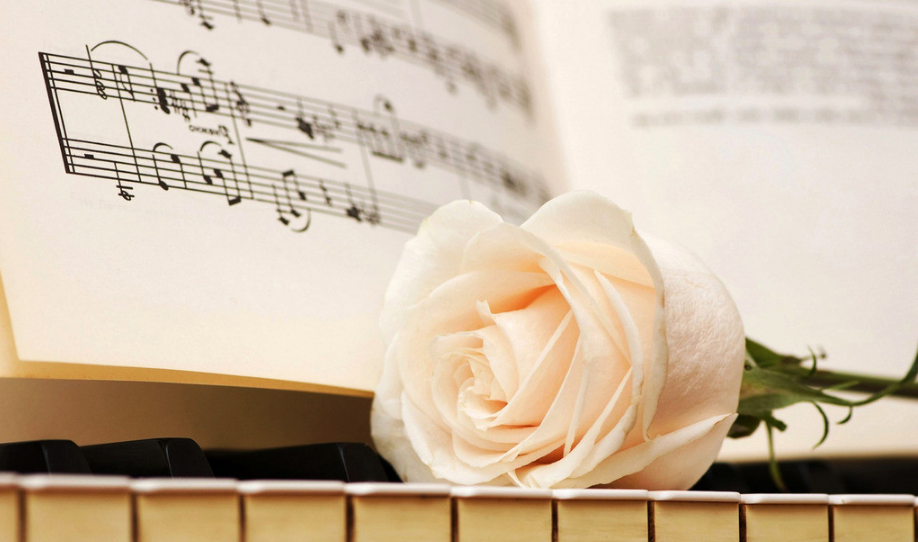 基礎樂理知識教程分享合集 百度網盤