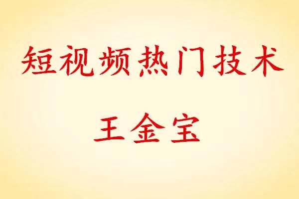 王金寶短視頻熱門技術百度網盤分享 百度網盤插圖