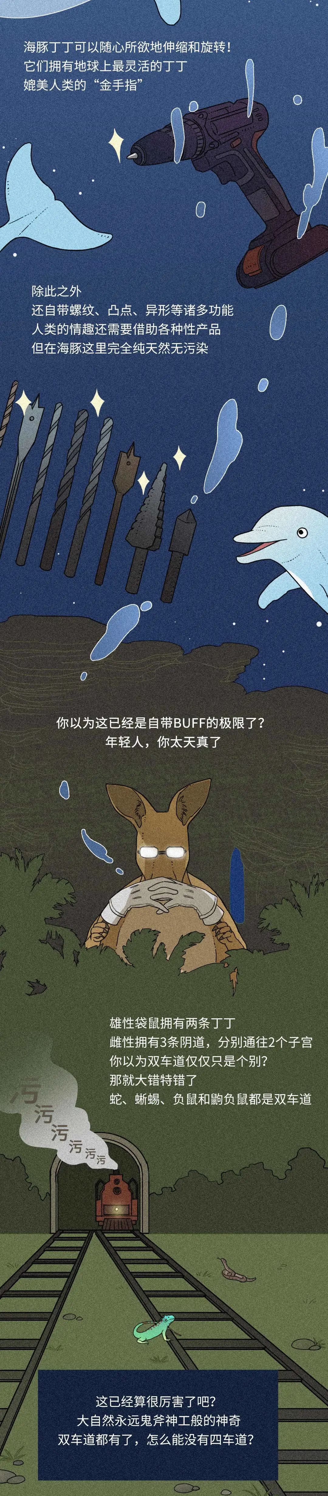 在性事上，人類差遠(yuǎn)了！插圖1
