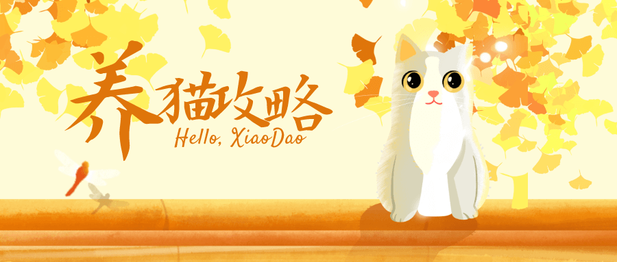 貓咪訓練視頻  百度網盤