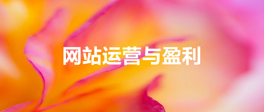 網站賺錢項目4.0網站運營與盈利，實現流量與盈利自動化的賺錢之路_百度云網盤視頻課程