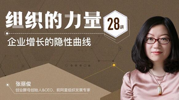 張麗俊《組織的力量28講》企業增長的隱性曲線_百度云網盤教程資源