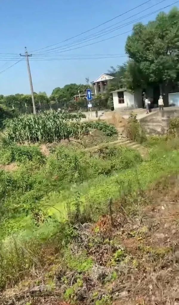 請問這是同一個人嗎？插圖31