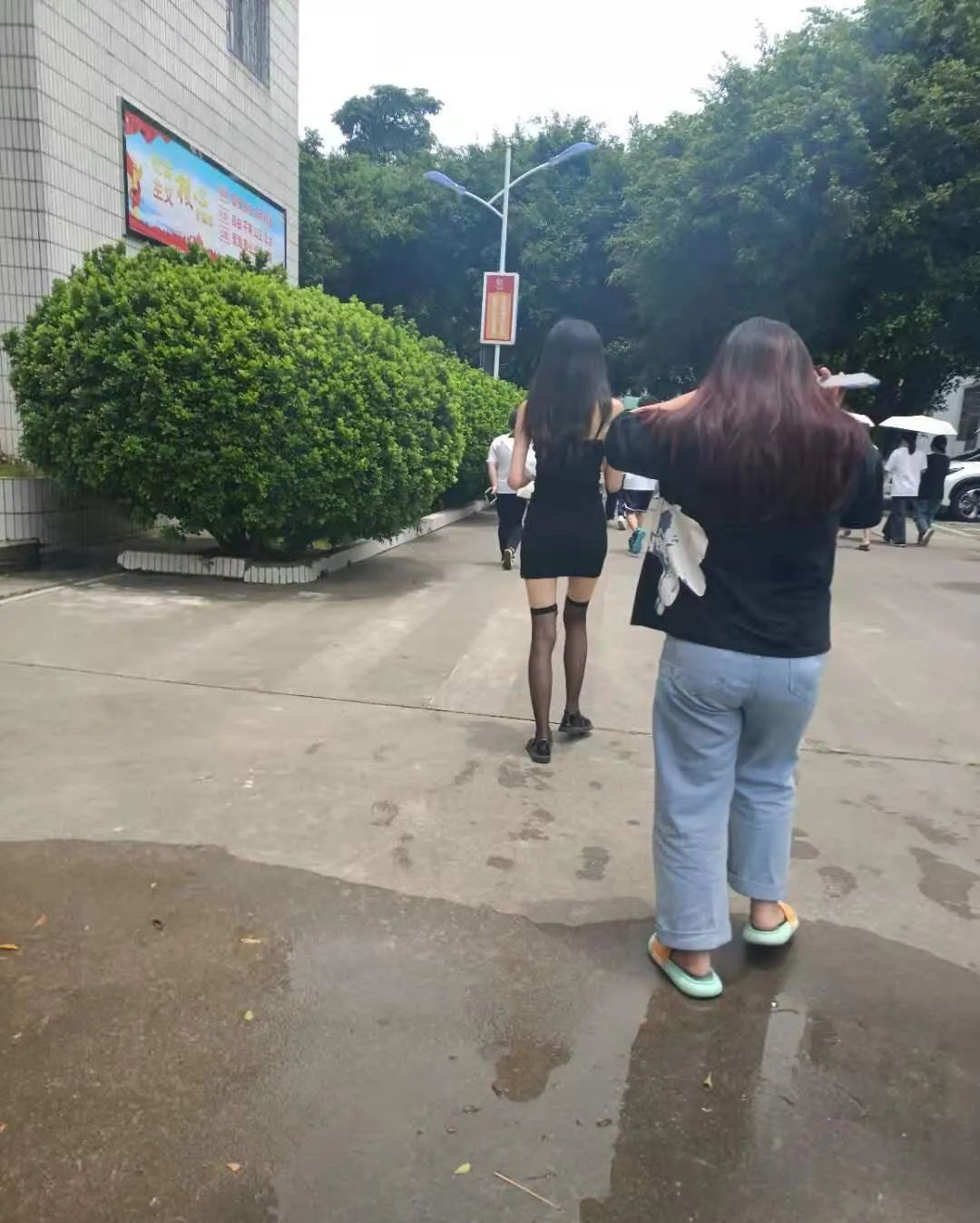這么多老師有你認識的？插圖7