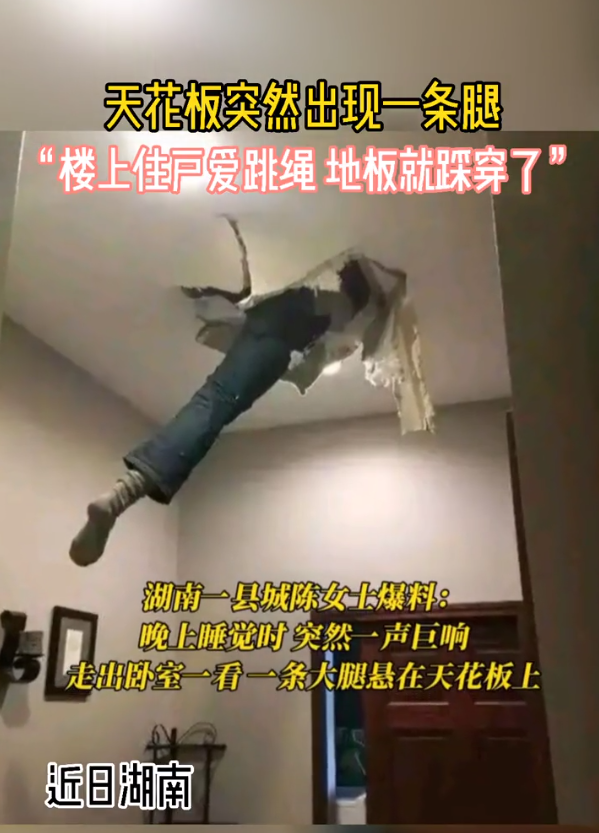 這難道不是傳說的微胖!?插圖14 這難道不是傳說的微胖!?插圖14