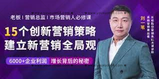 劉一葦《15個創新營銷策略：建立新營銷全局觀》（15講）_百度云網盤視頻教程
