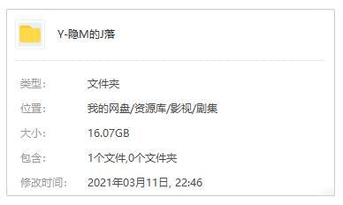 國產劇《隱秘的角落》全12集+番外國語中字