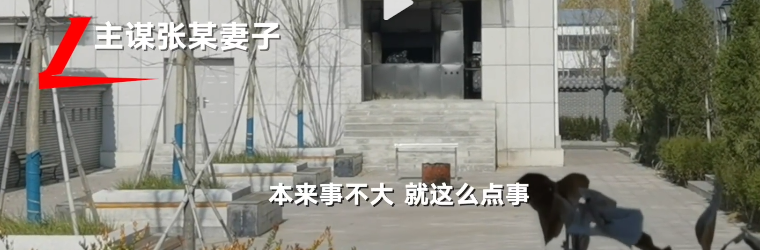 女網紅抑郁被網友慫恿自殺，骨灰還被人掉包配Y婚？簡直讓人氣憤插圖9