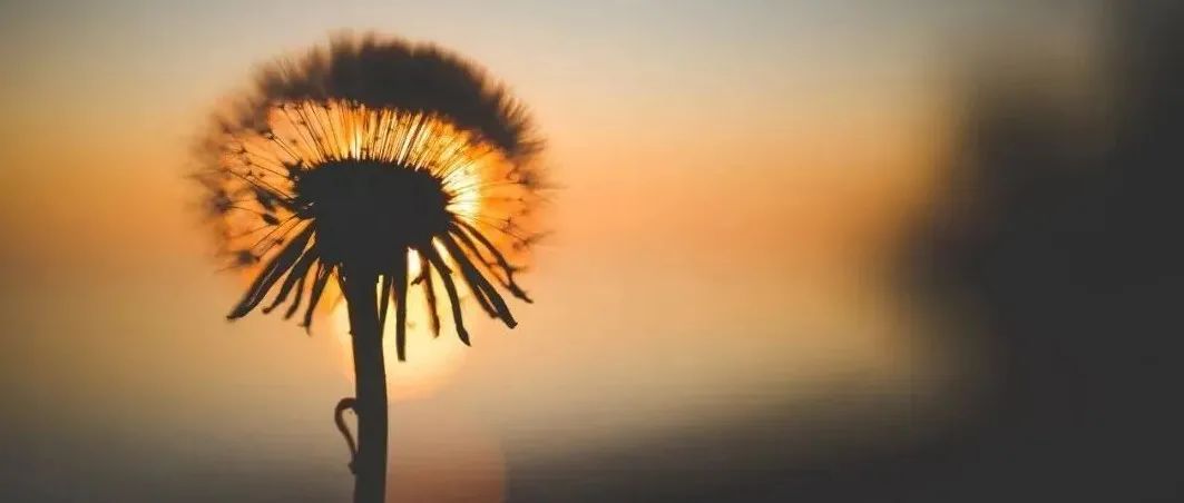 放下執念，愉快搞錢