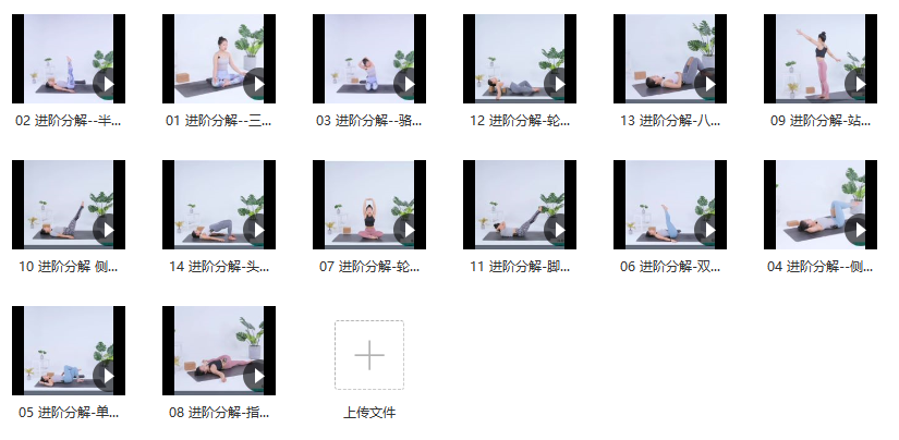 碧茜-靈動致心14天流瑜伽中級進階