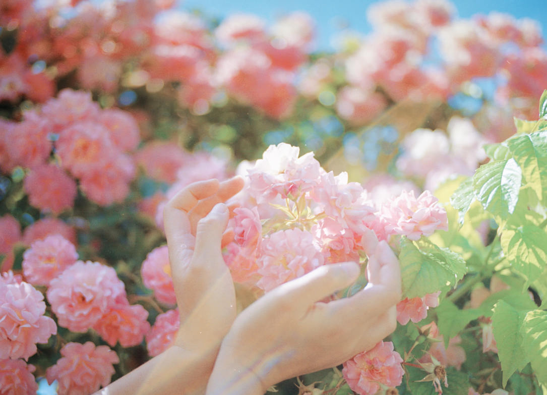 overwater攝影第二期2020【畫質(zhì)高清】