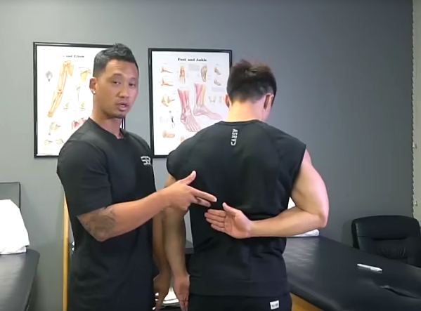 體態糾正和康復訓練21節中外大師講解