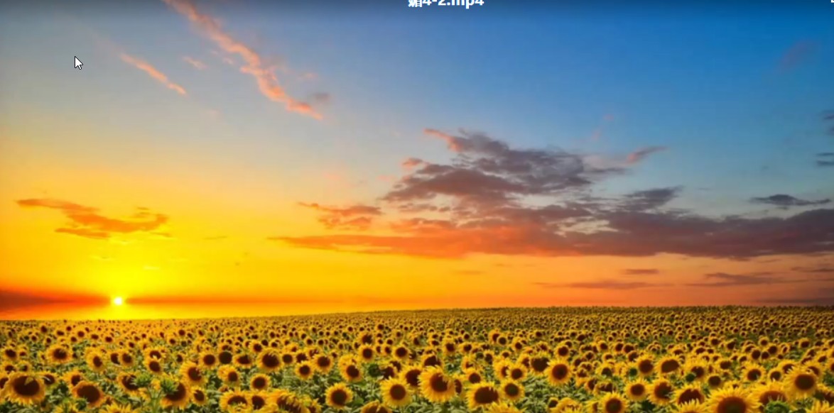 雪球愛(ài)爾蘭畫(huà)眉炒股培訓(xùn)2021年課程視頻