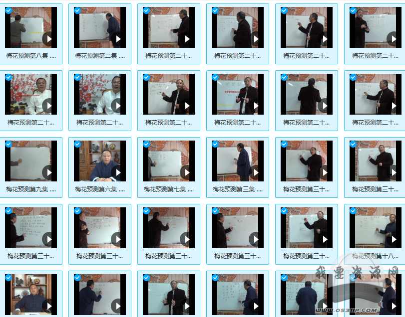 唐友權(quán)梅花易數(shù)課程梅花精斷 36集