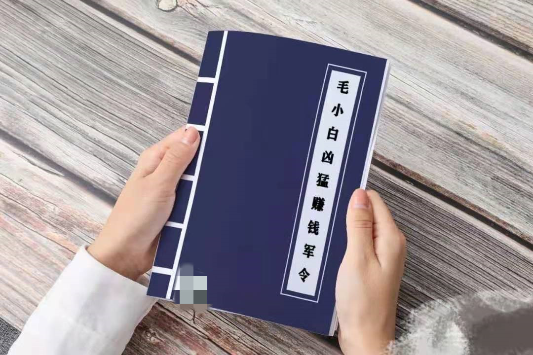 毛小白兇猛賺錢軍令 1文檔