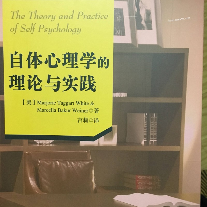 盧林 科胡特自體心理學(xué)理論和臨床實(shí)踐30講