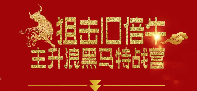 【一刀戰(zhàn)法】刀哥主升浪黑馬特戰(zhàn)營(yíng)