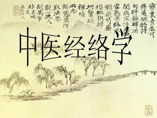 中醫(yī)人必學(xué)的經(jīng)絡(luò)課