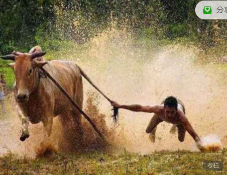 股哥訓(xùn)練營 只會炒股第16期