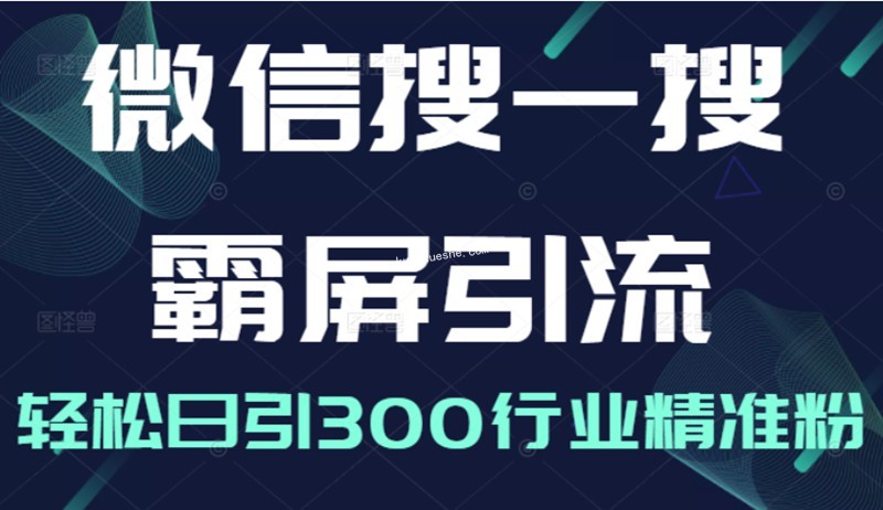 微信搜一搜霸屏引流課，打造被動精準引流系統百度云分享