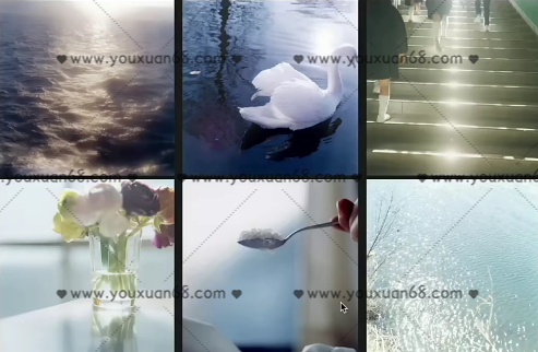 泰羅攝影綜合課第11期2021年【畫質高清】