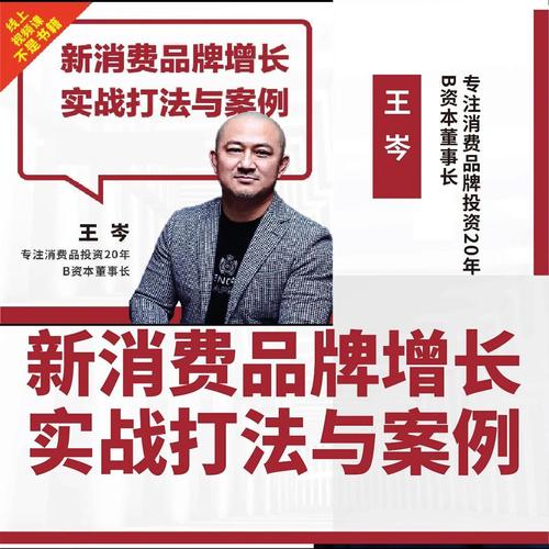 王岑講新消費(fèi)品牌增長實戰(zhàn)打法與案例