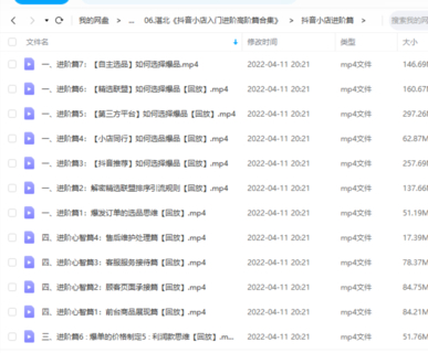 【電商會員上新】湛北《抖音小店入門進(jìn)階高階篇合集》