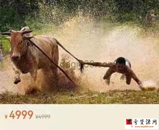 只會(huì)炒股 股哥訓(xùn)練營(yíng) 第十五期 股哥15期