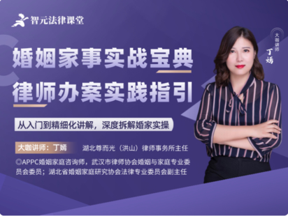 【法律完結(jié)】【智元】 《484 丁嫣婚姻家事實(shí)戰(zhàn)寶典：律師辦案實(shí)踐指引》