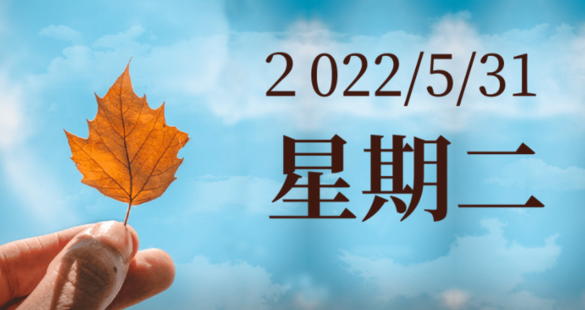 通過替換文本圖片，網(wǎng)上賺錢，3分鐘賺20美金