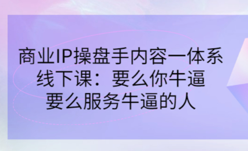 【網(wǎng)賺上新】034.小偉商業(yè)IP操盤手線下課