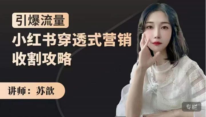 蘇歆：小紅書穿透式營銷收割攻略，引爆流量玩轉小紅書