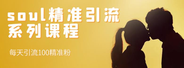 soul精準(zhǔn)引流系列課程，每天引流100精準(zhǔn)粉