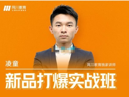 凌童《新品打爆實(shí)戰(zhàn)班》