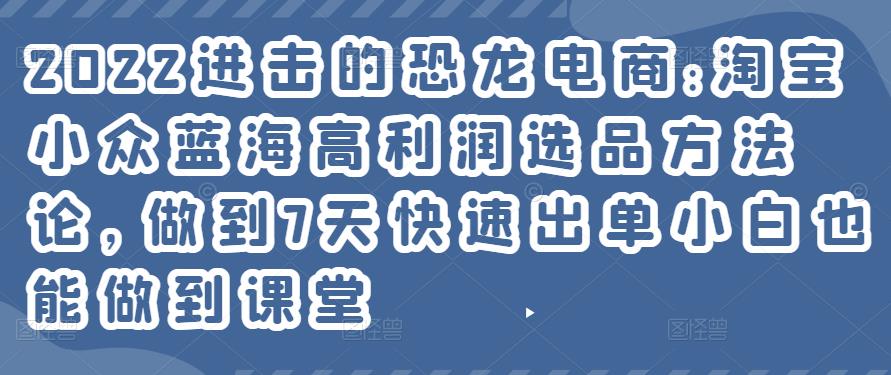 2022進(jìn)擊的恐龍電商:淘寶小眾藍(lán)海高利潤選品方法論
