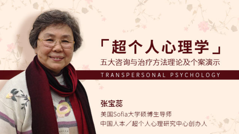 張寶蕊 超個人心理學 五大咨詢與治療方法理論及個案演示課程視頻