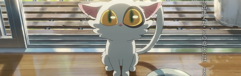 新海誠《すずめの戸締まり/鈴芽戶締》公布預告片