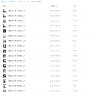 朱引山《太素脈法無極系列》精品視頻84集