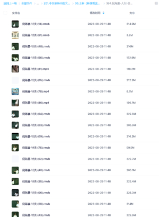 倪海廈-人紀(jì)-針灸大成網(wǎng)盤分享