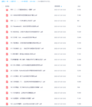 【極客時間】編程高手必學的內存知識
