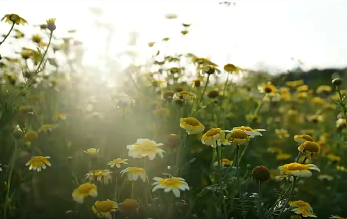 微醺十月攝影班2022年2月結課網盤分享