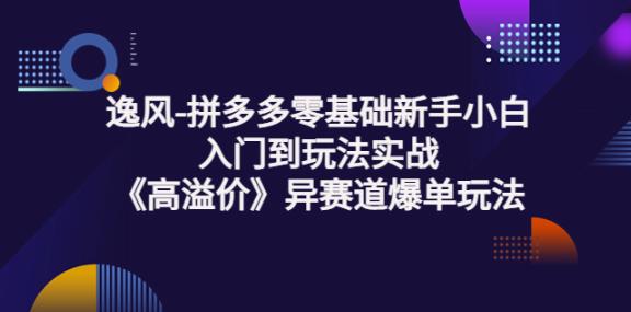 逸風-拼多多零基礎新手小白入門到玩法實戰《高溢價》異賽道爆單玩法實操課