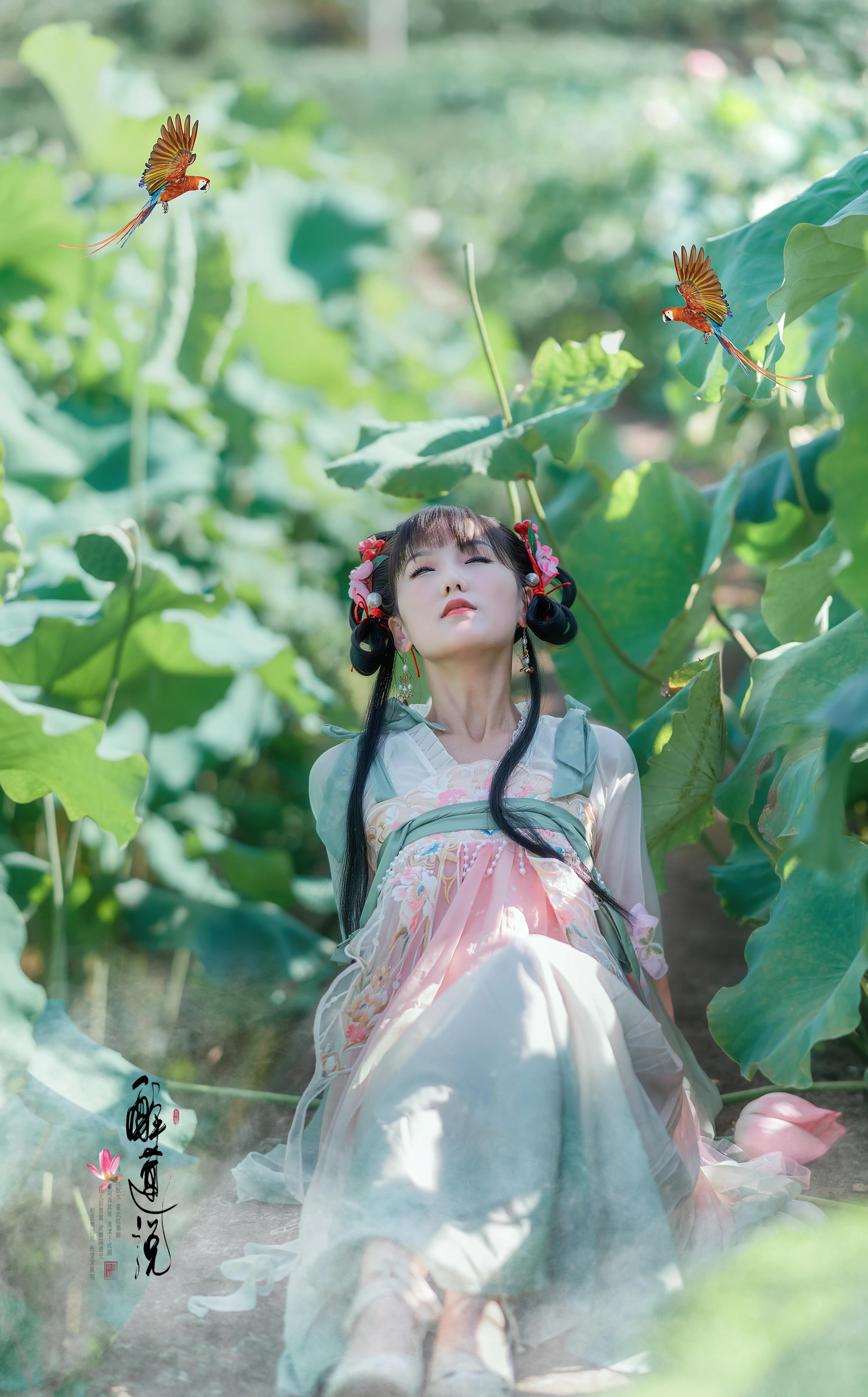 心醉迷，夢醉迷。葉鋪池，花開池。插圖7