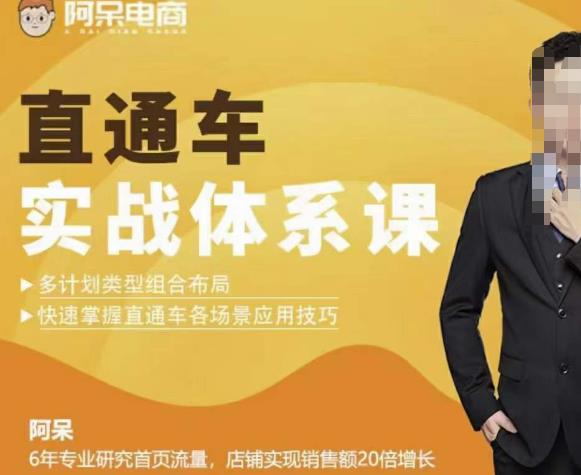 直通車實(shí)戰(zhàn)體系課：多類型組合布局掌握直通車各場景技巧