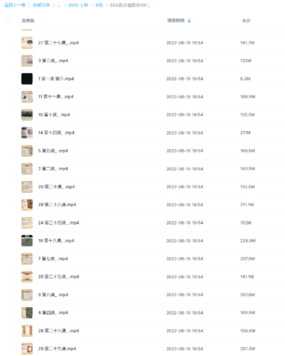 陳安逸職業VIP風水網盤分享