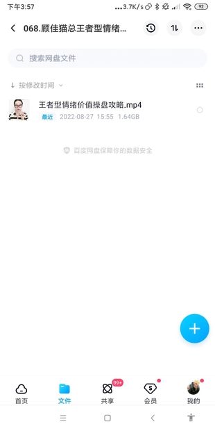 顧佳貓總王者型情緒價值操盤攻略網盤分享